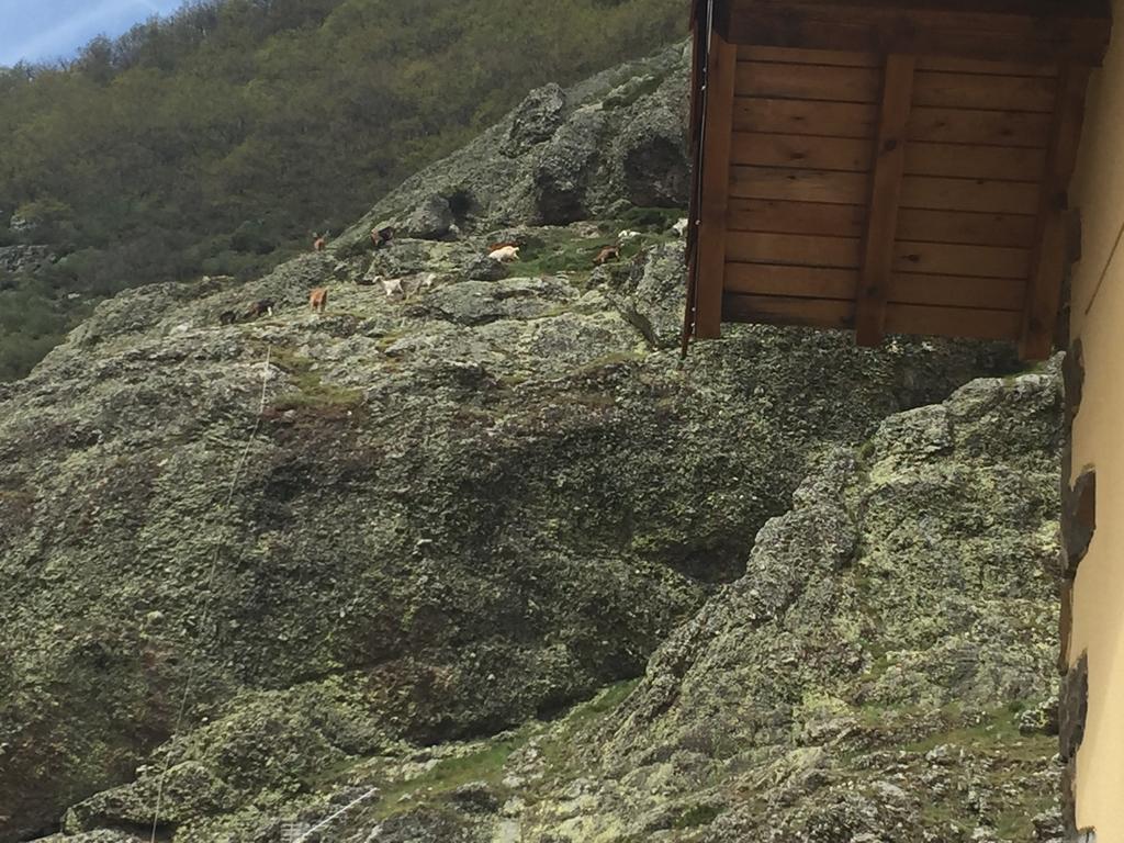 El Invernal De Picos Portilla de la Reina Kültér fotó