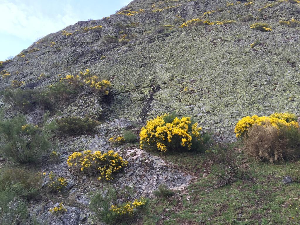 El Invernal De Picos Portilla de la Reina Kültér fotó