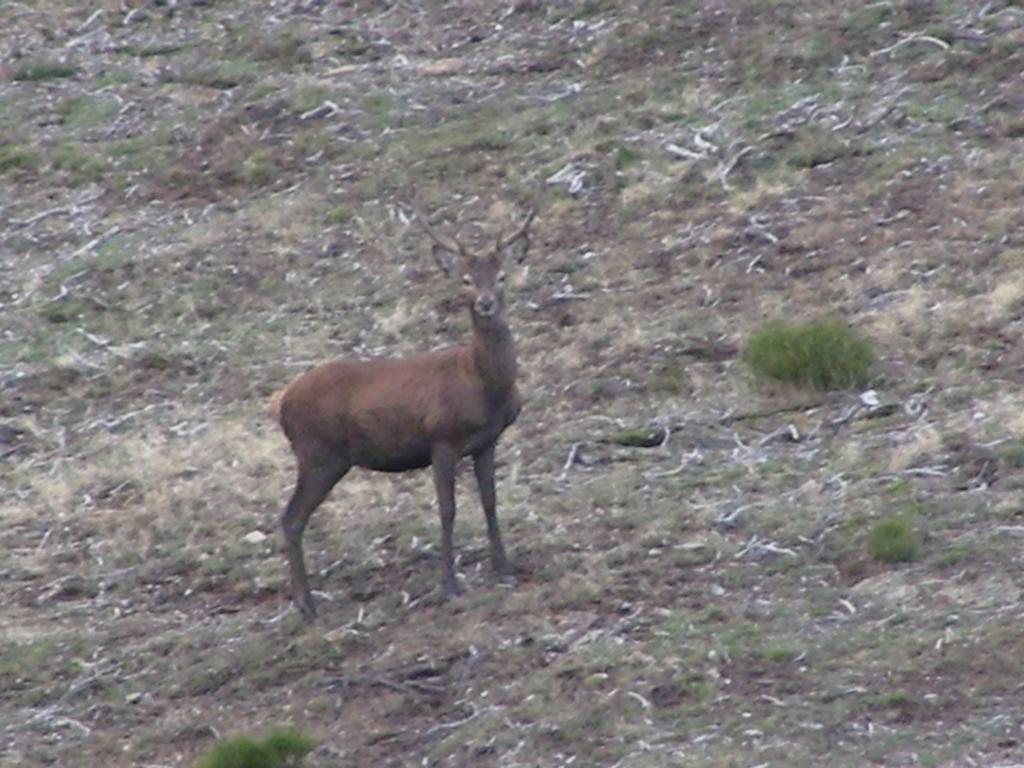 El Invernal De Picos Portilla de la Reina Kültér fotó