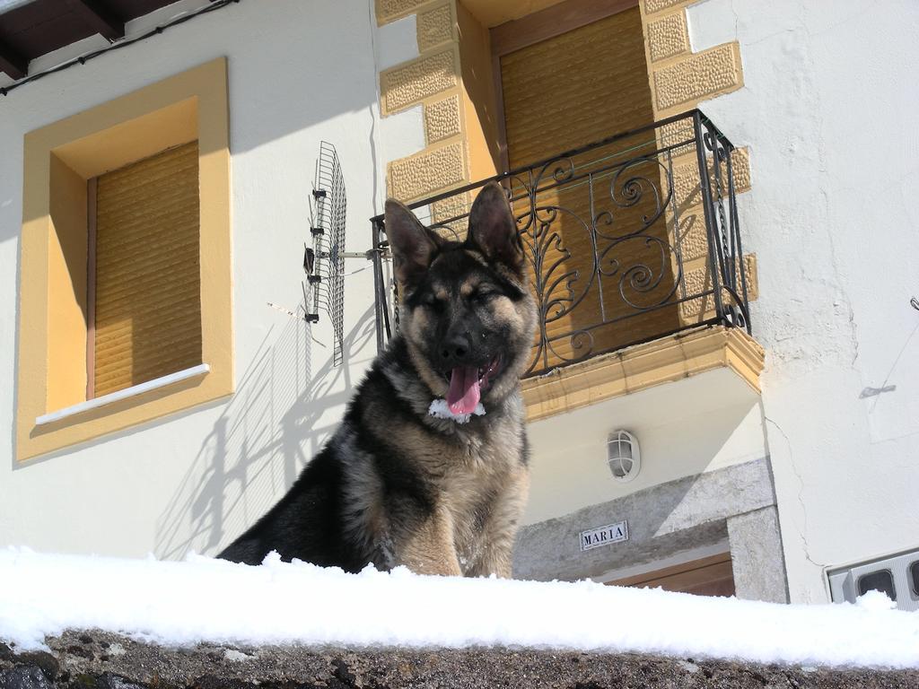 El Invernal De Picos Portilla de la Reina Kültér fotó
