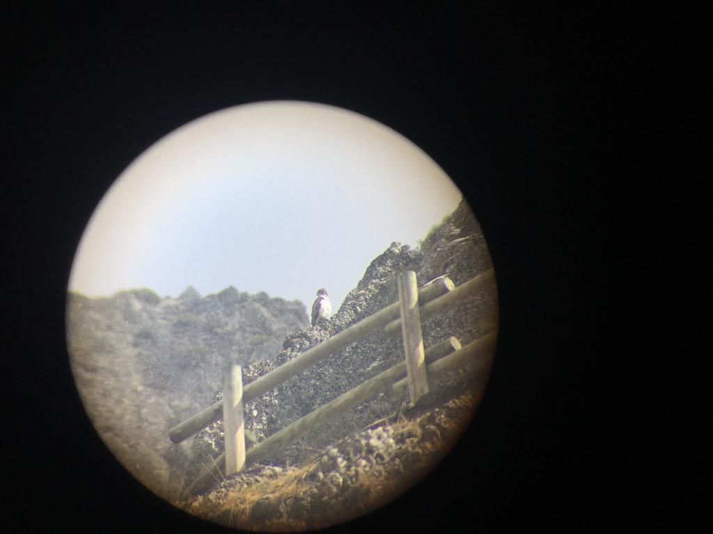 El Invernal De Picos Portilla de la Reina Kültér fotó